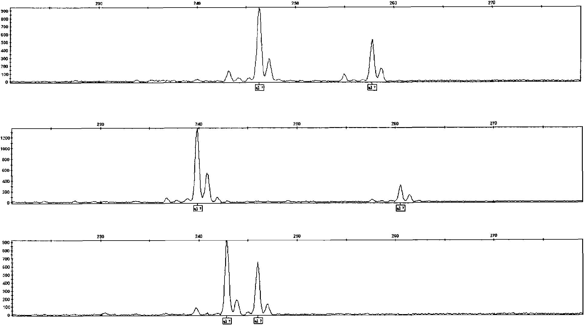 Schistosoma japonicum microsatellite locus and application thereof