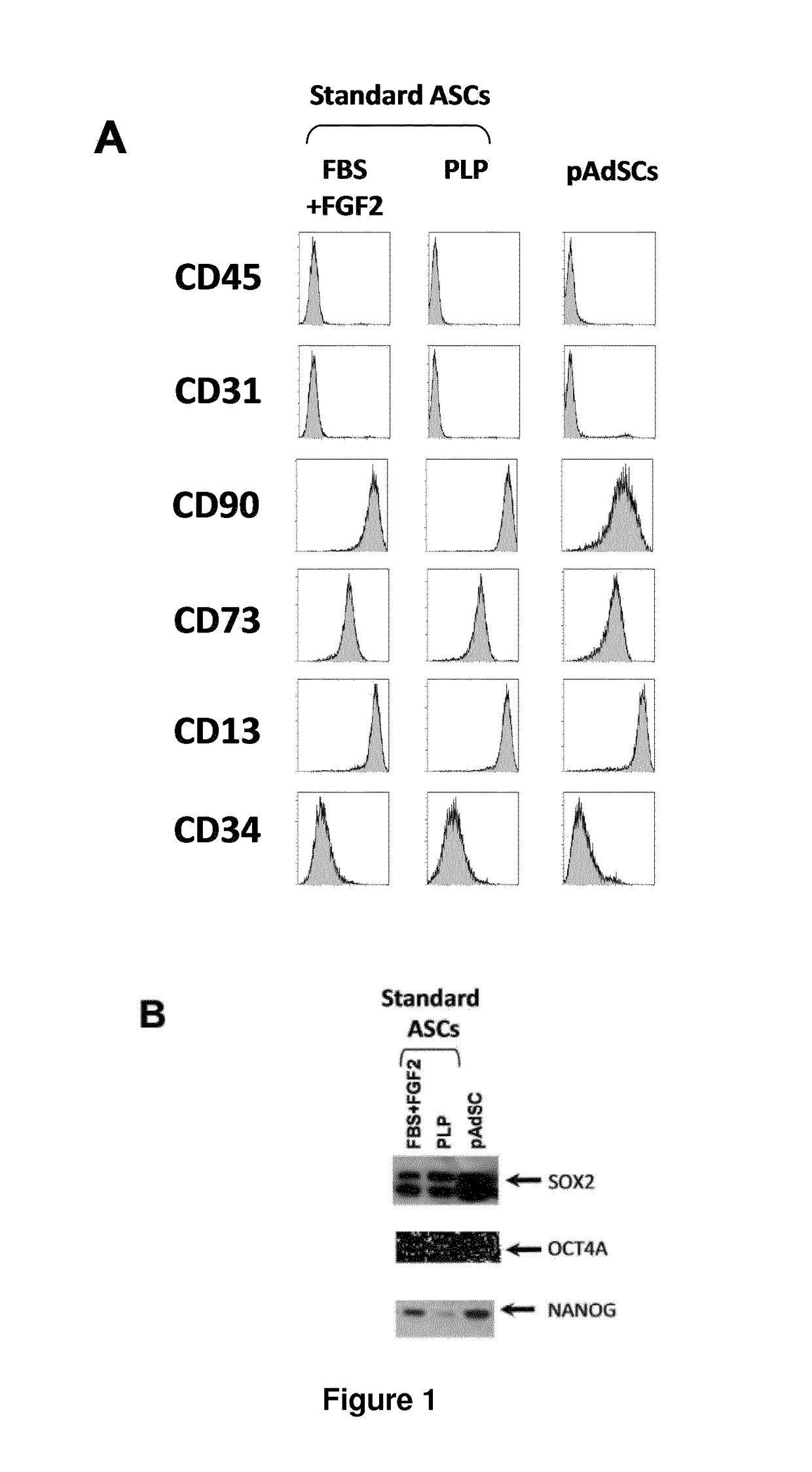 Method for obtaining human brown/beige adipocytes