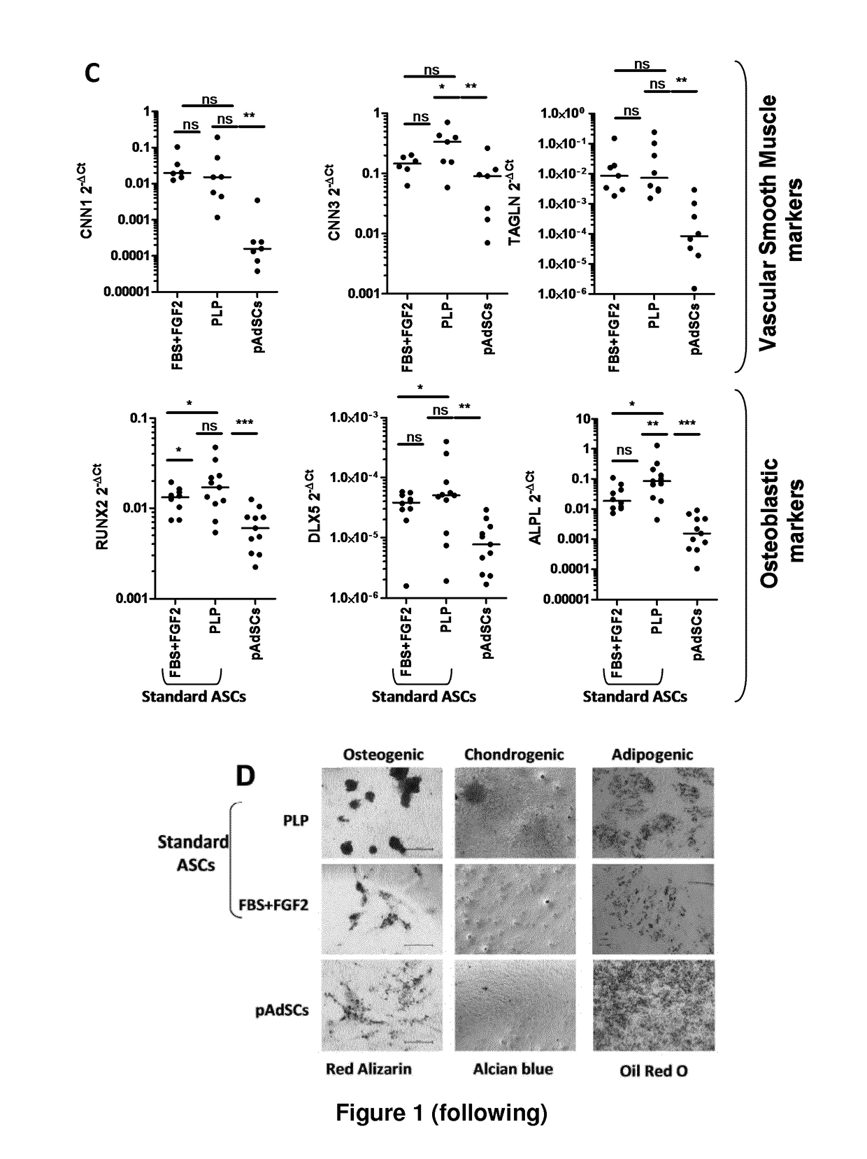 Method for obtaining human brown/beige adipocytes