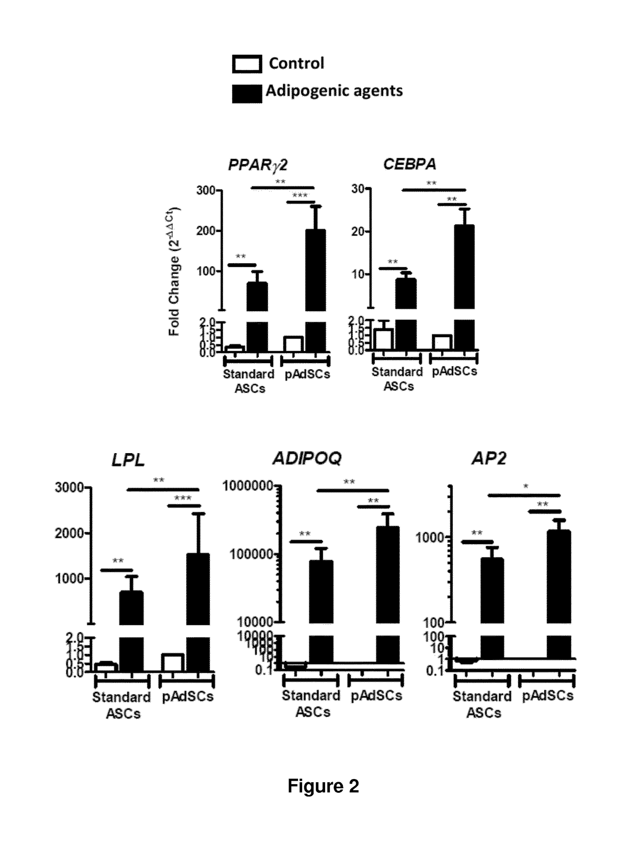 Method for obtaining human brown/beige adipocytes