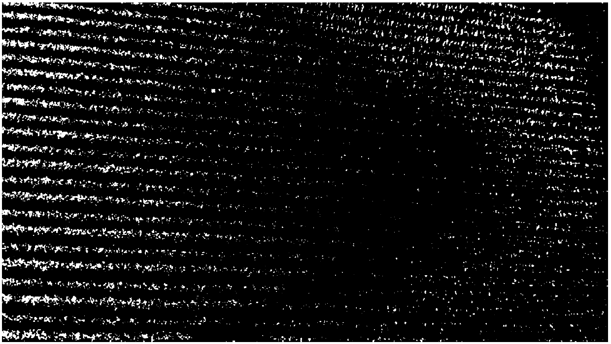 Substrateless magnetic glittering pigment and preparation method and application thereof