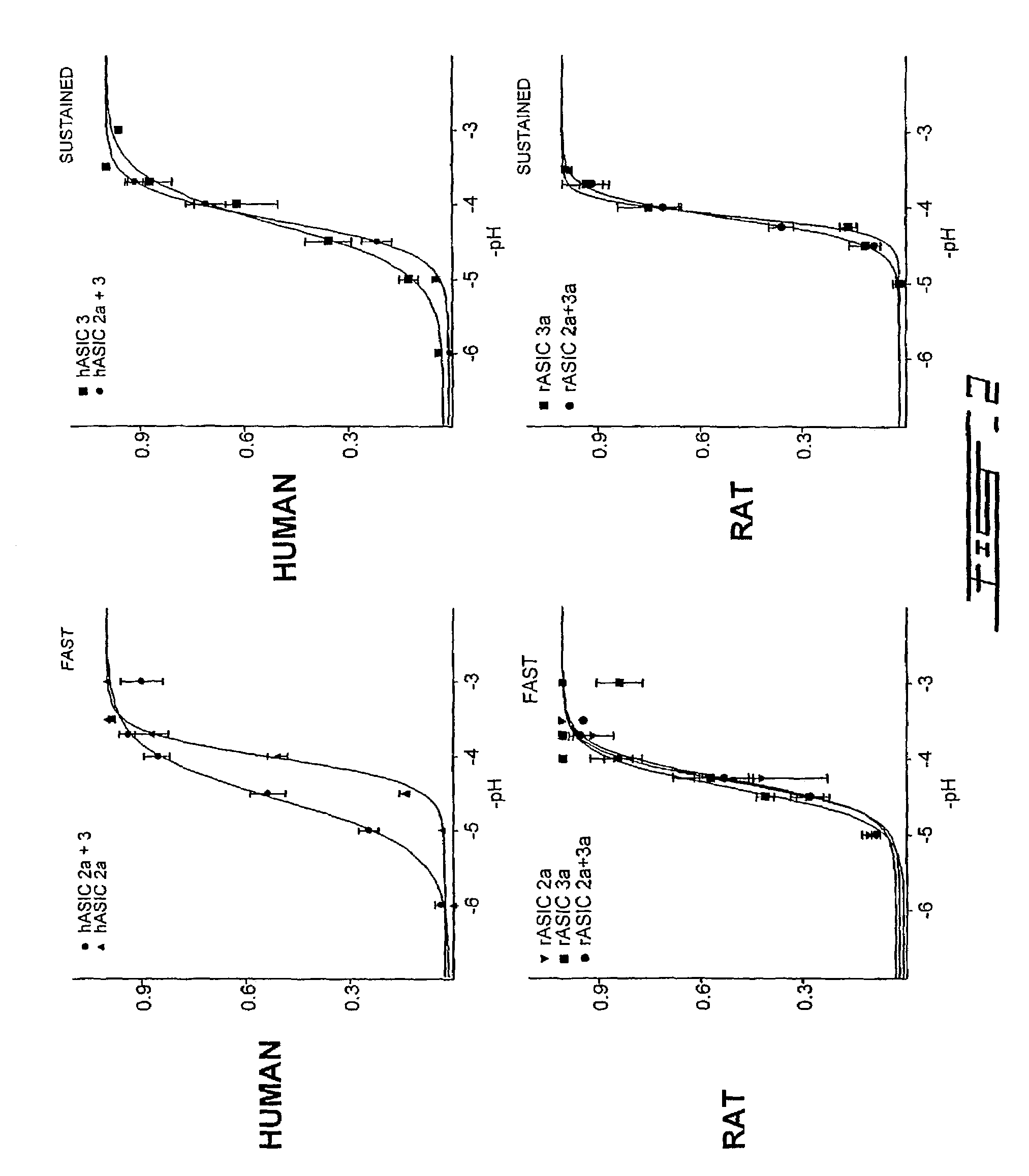 Heteromultimeric ion channel receptor and uses thereof