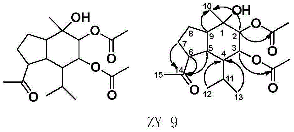 Helleborus thibetanus extract, separation method of effective components in Helleborus thibetanus extract and compounds obtained by separation method