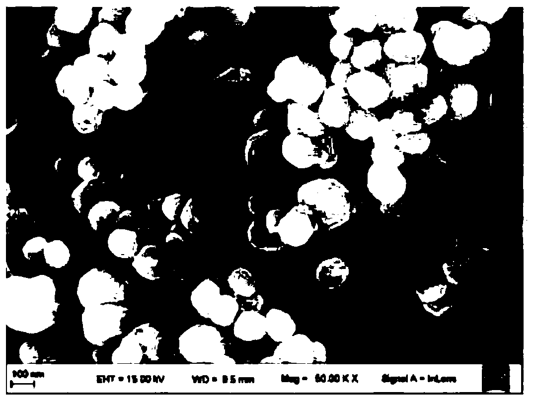 Preparation method and application of organic framework supported CeO2/CuO electrocatalytic material