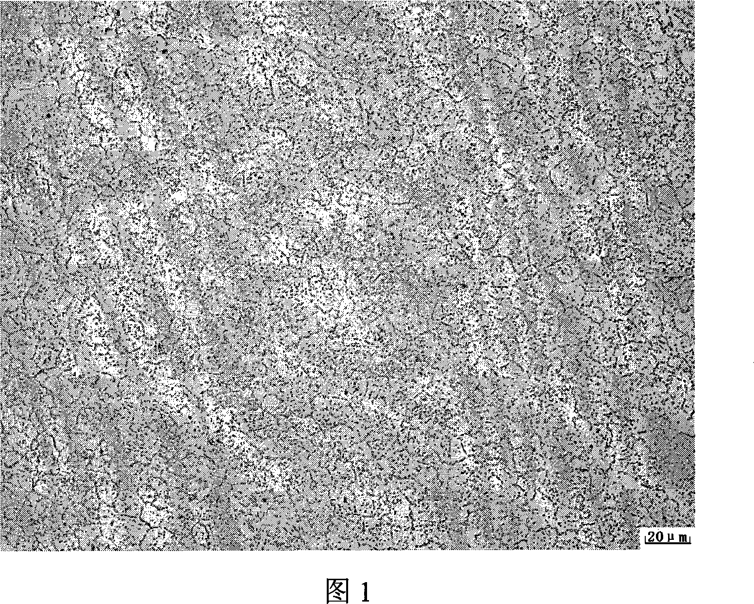 Novel stainless bearing steel and method for manufacturing same