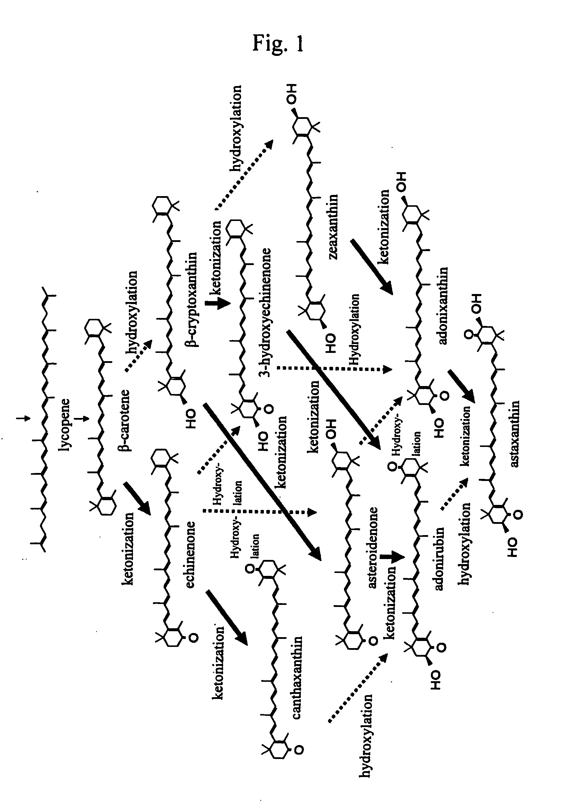 Process for producing carotenoid compound