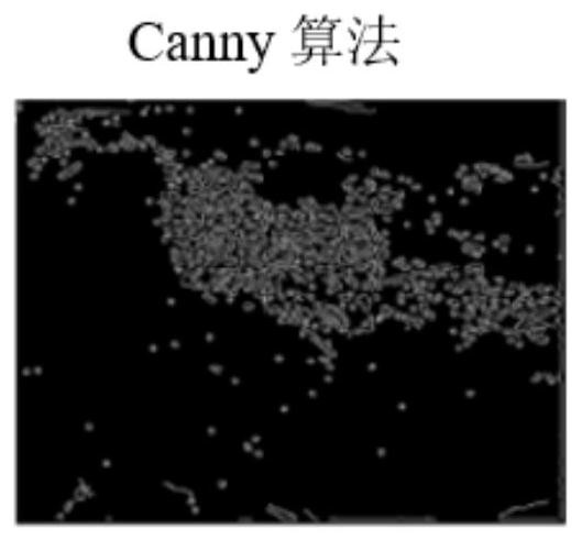 Water surface oil spill monitoring system and method based on AIS navigation mark