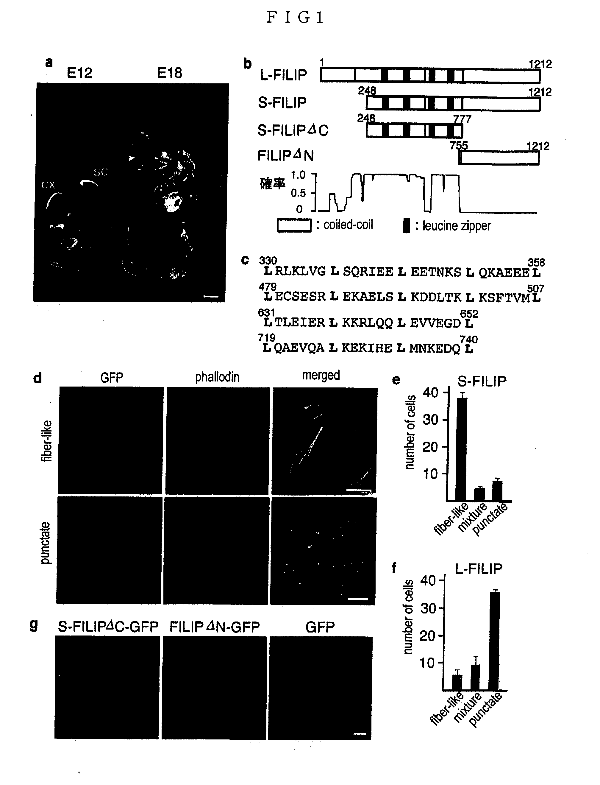 Proteins Having Effects Of Controlling Cell Migration And Cell Death