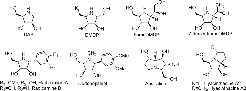 Fluoro imido sugar compounds, and preparation method and application thereof