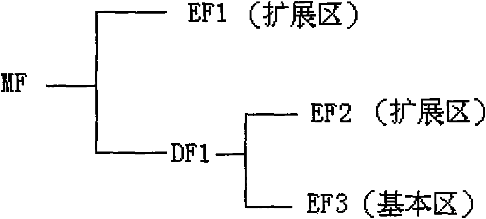 File memory and read method of smart card and device thereof