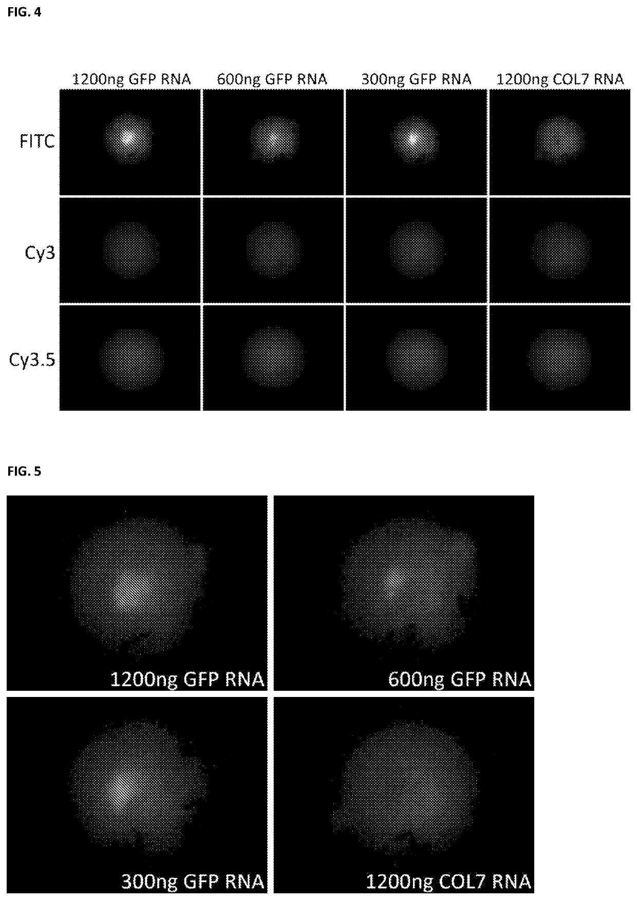 Nucleic acid-based therapeutics