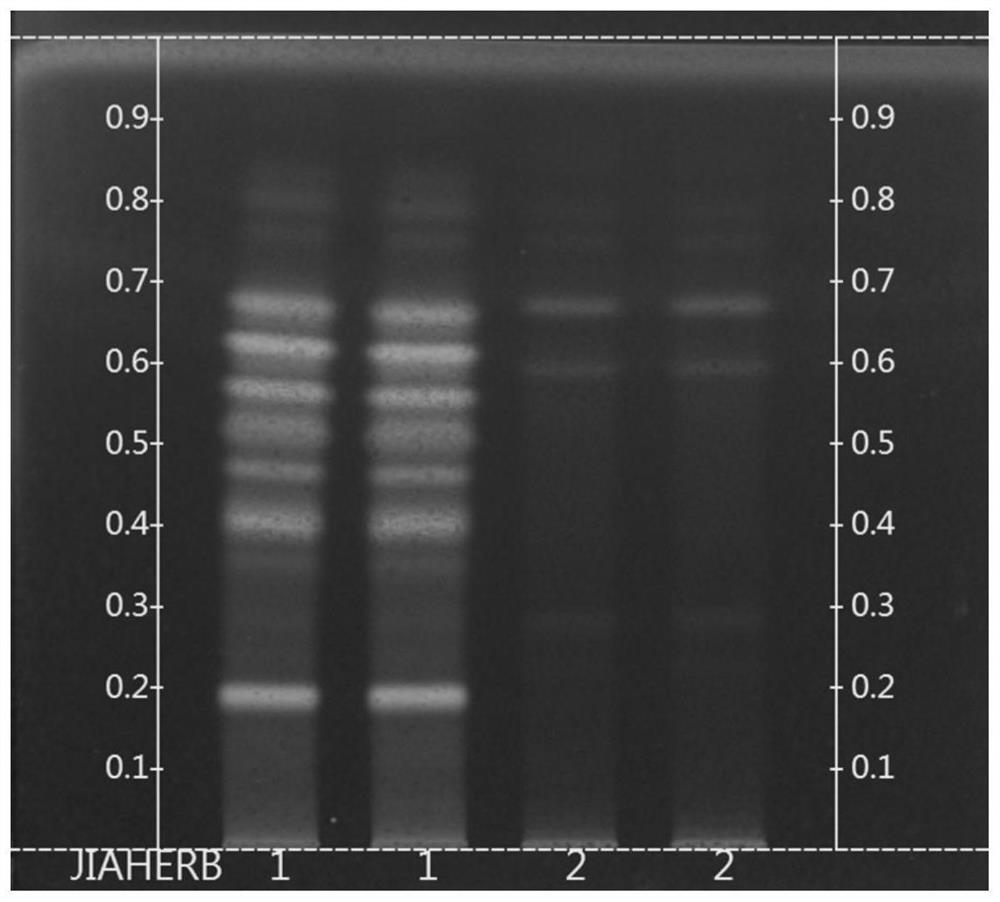 Thin-layer chromatography identification method for distinguishing antrodia camphorata and camphorwood