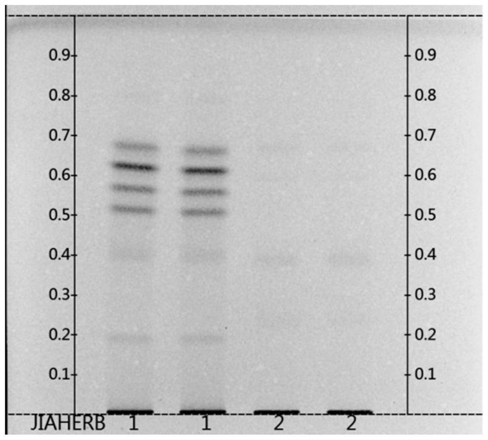 Thin-layer chromatography identification method for distinguishing antrodia camphorata and camphorwood