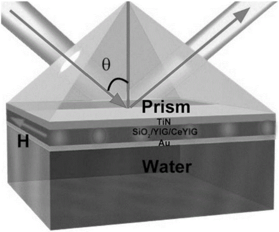 Magneto-optic plasma biosensor