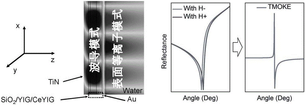 Magneto-optic plasma biosensor