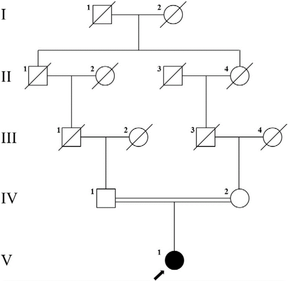 Pathogenic mutation of genetic Usher syndrome and detection reagent thereof