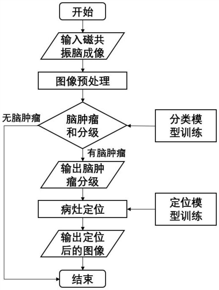 Severe tumor image recognition system and method