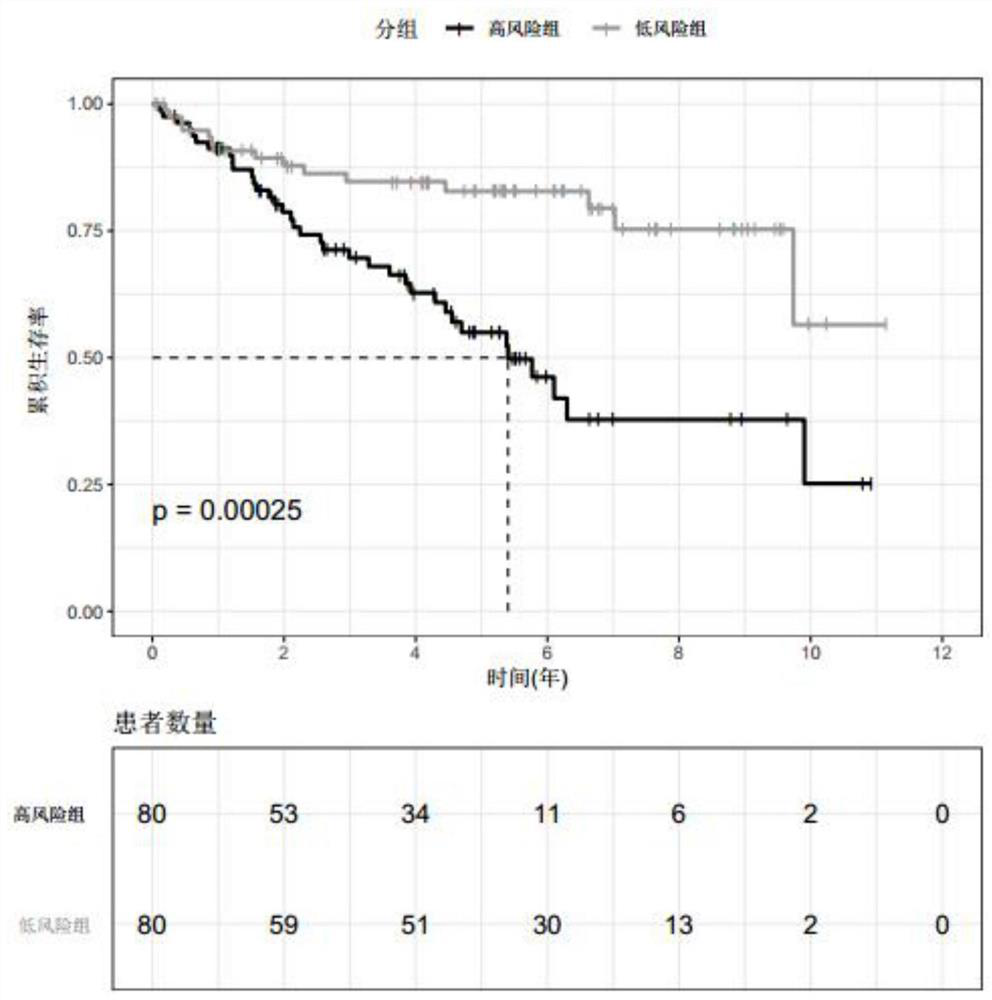 Use of biomarkers for predicting prognosis of renal cell carcinoma