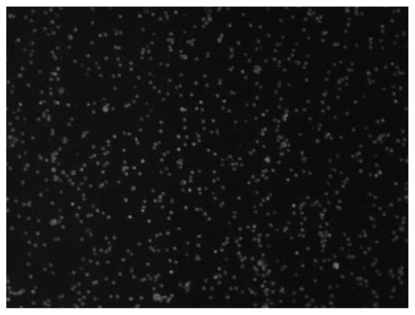 A method for detecting residual cells in apheresis platelet products