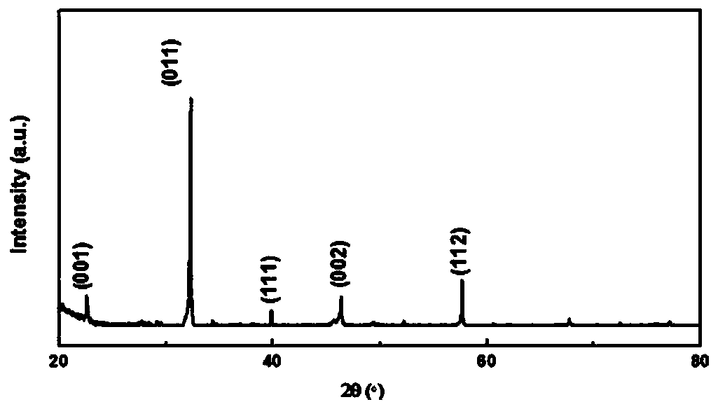 Lithium negative electrode or sodium negative electrode and preparation method and application of lithium negative electrode or sodium negative electrode