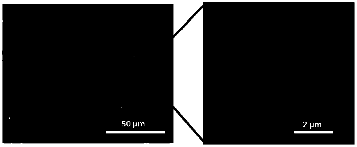 Lithium negative electrode or sodium negative electrode and preparation method and application of lithium negative electrode or sodium negative electrode