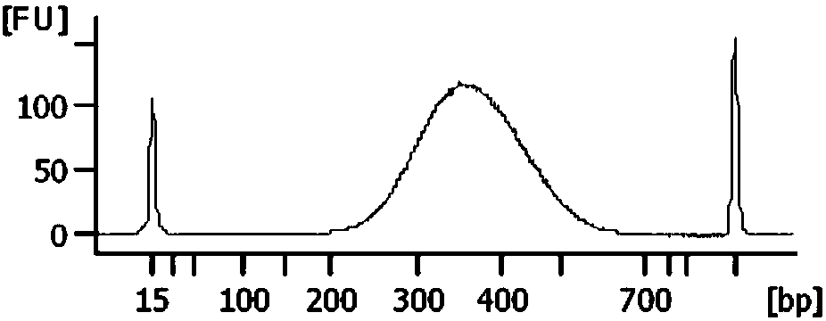 Method of target region multiplex PCR and rapid library construction