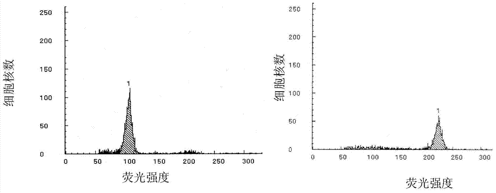 Method for inducing tetraploid garlic by using oryzalin