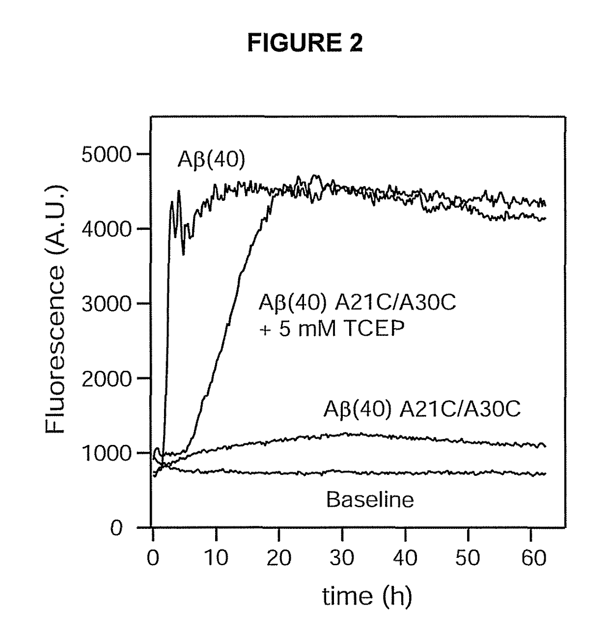 Stable amyloid beta monomers and oligomers