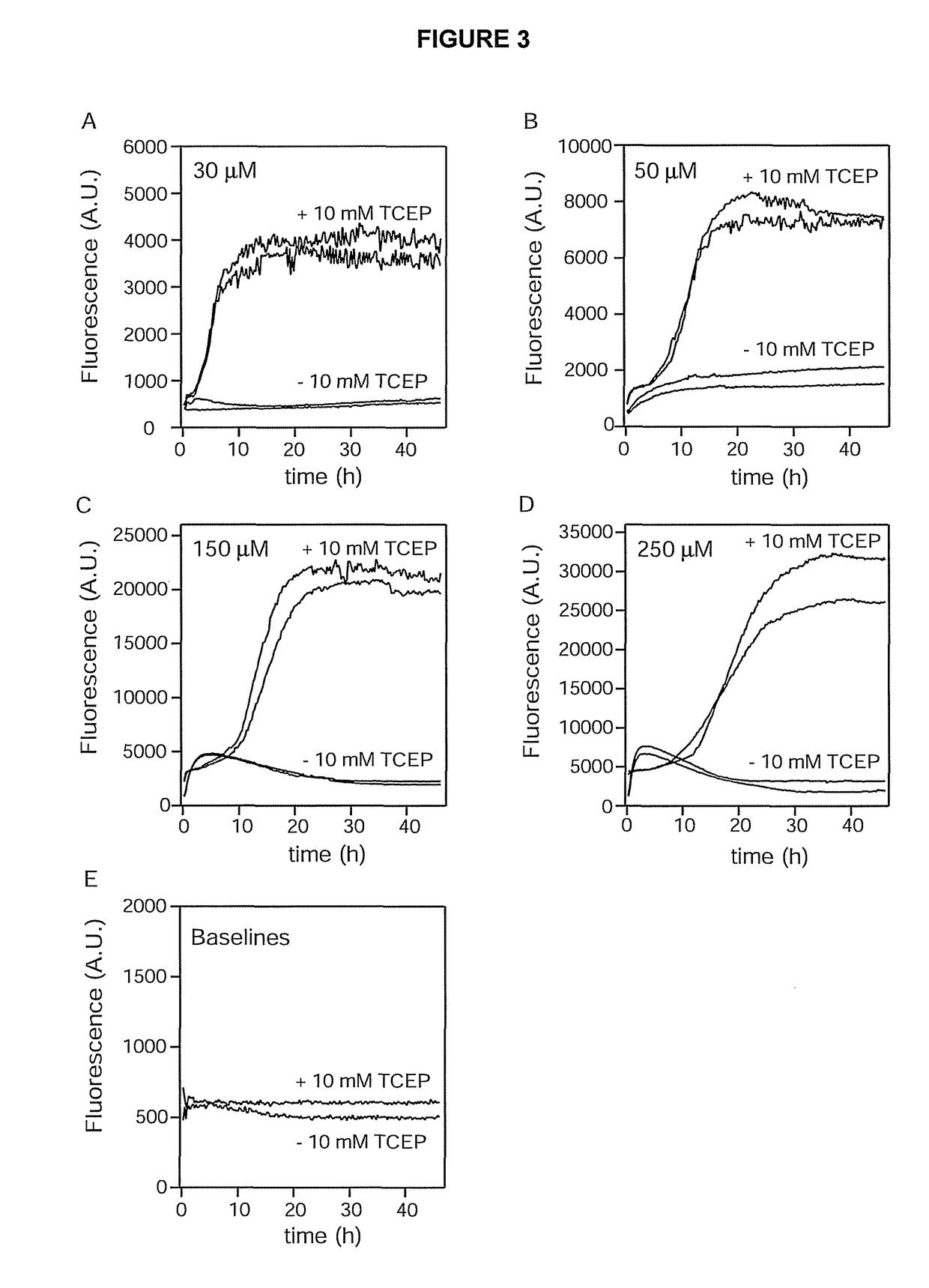 Stable amyloid beta monomers and oligomers