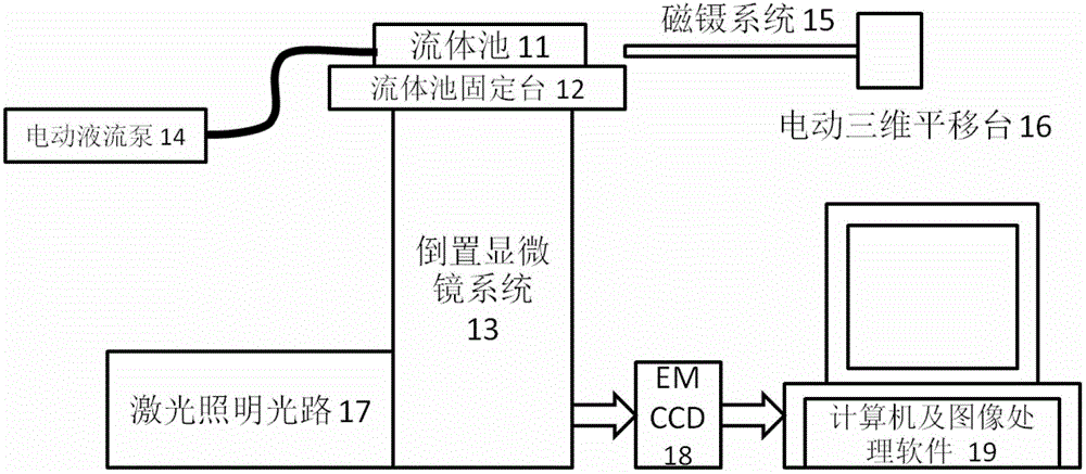 A single-molecule fluorescent device and method of using the same