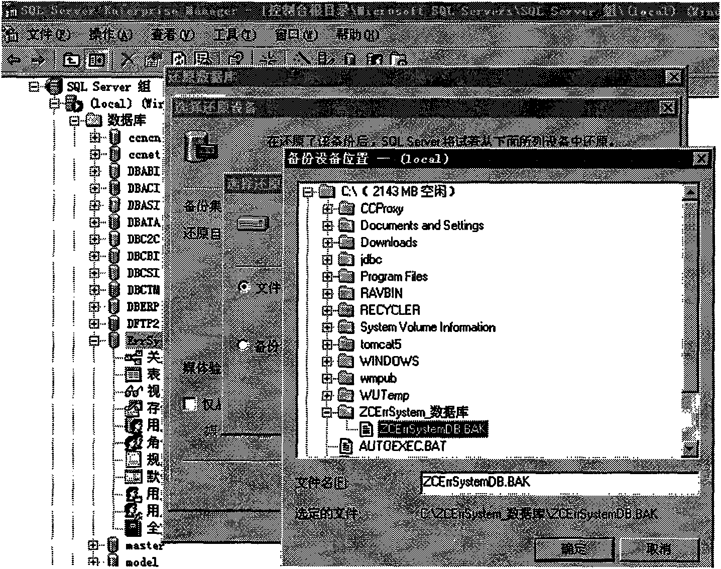 Novel method for capturing IIS error report