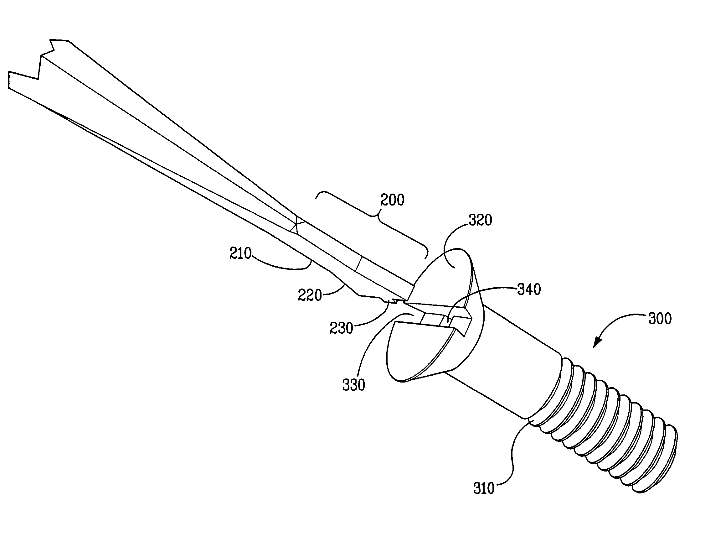 Tool element and screw for mating engagement therewith
