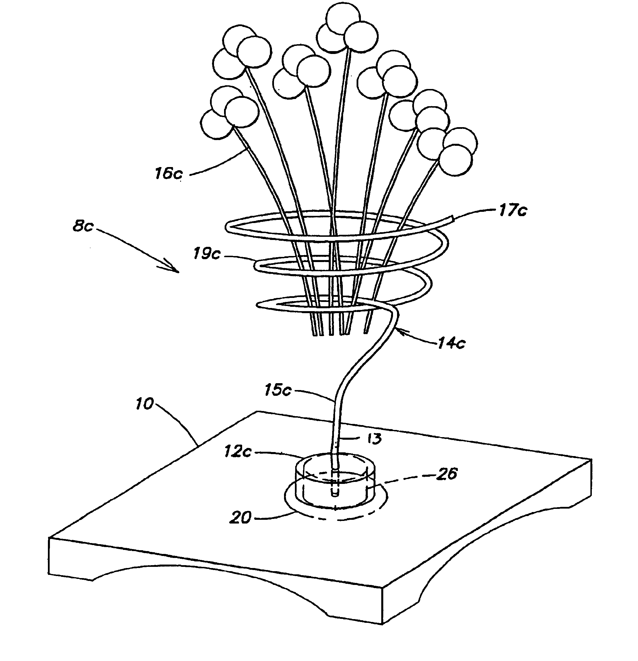 Apparatus for displaying culinary, horticultural or floral items