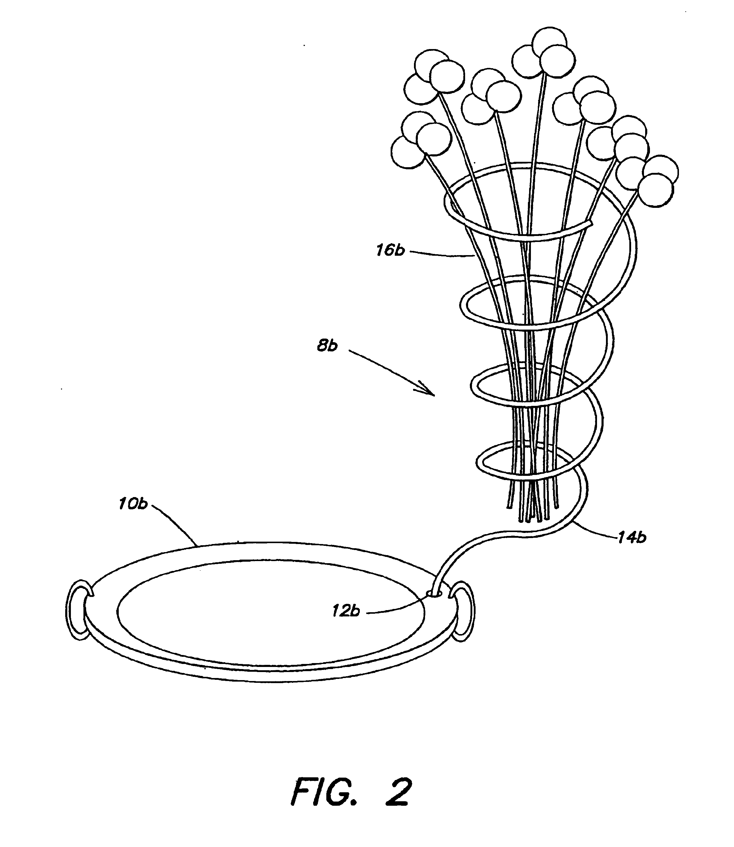 Apparatus for displaying culinary, horticultural or floral items