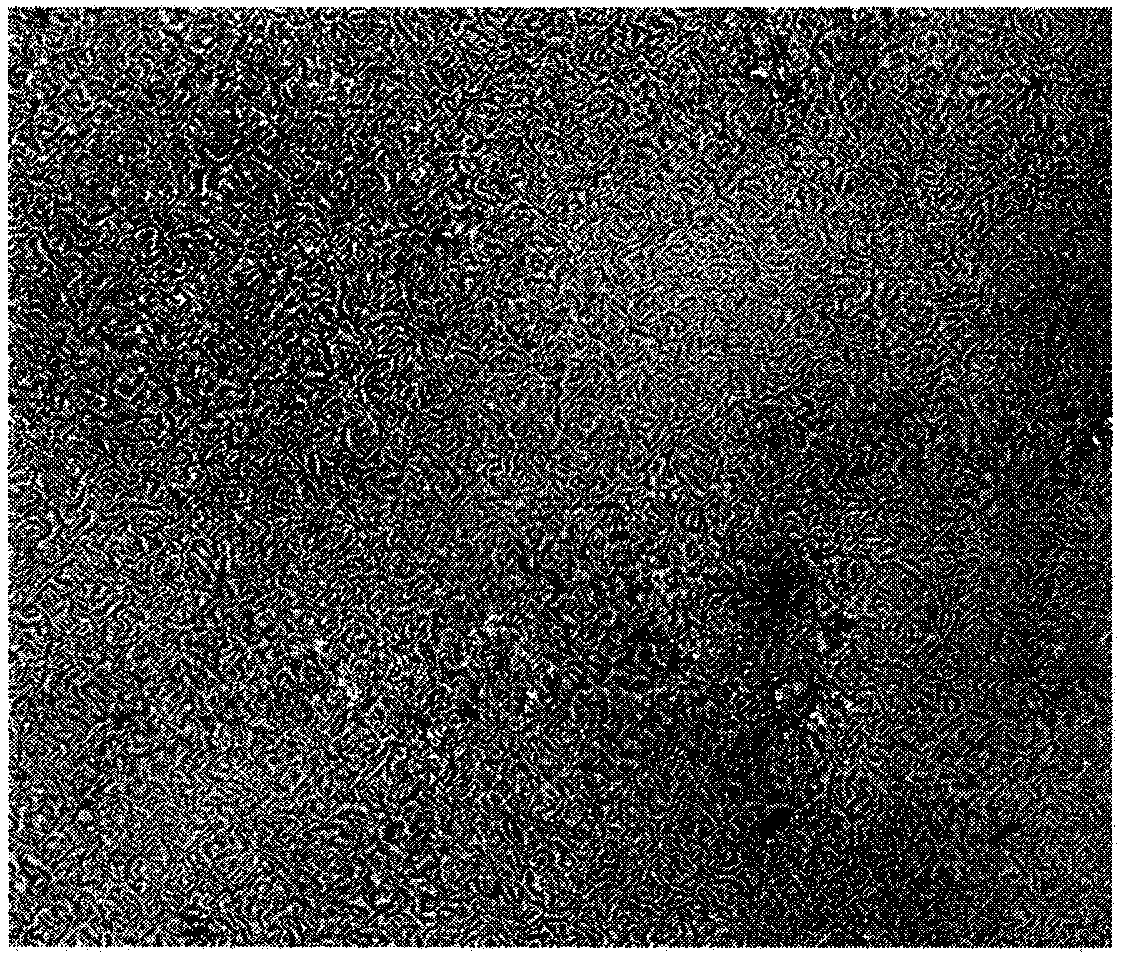 Method for characterizing nano-porous material