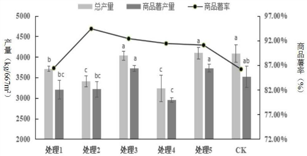 Early potato water-saving irrigation technology