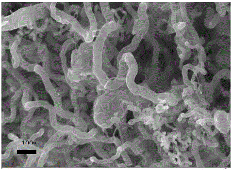 Preparation method of carbon nanotube-lithium sulfide-carbon composite material