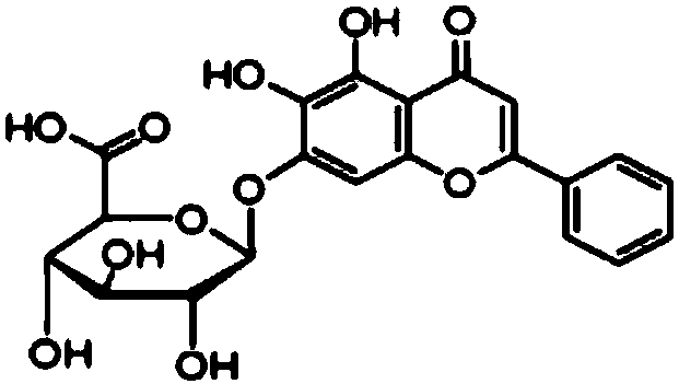 Application of baicalin in preparation of medicine for preventing rotavirus