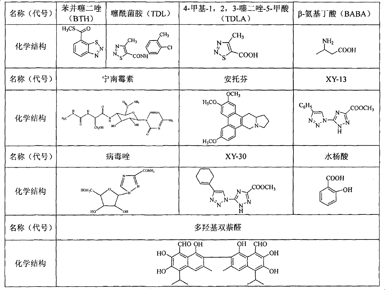 Ferulic acid and ferulic acid derivative anti-phytoviral agents