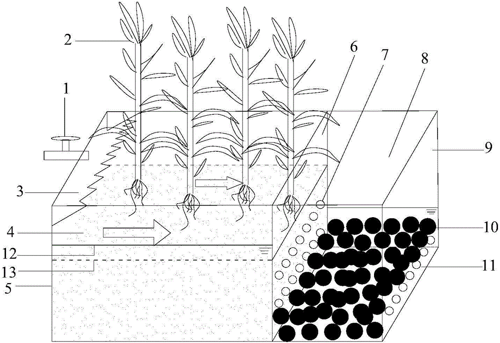 Combined purification system of reed wetland and composite porous medium ball as well as construction method and application of combined purification system