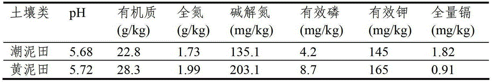 Cadmium pollution bioremediation agent and its preparation method and application
