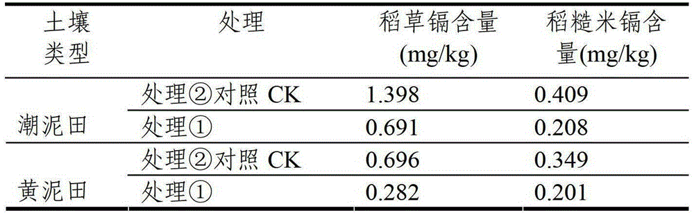 Cadmium pollution bioremediation agent and its preparation method and application