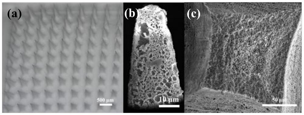 A kind of microneedle capable of extracting skin tissue fluid and its preparation method