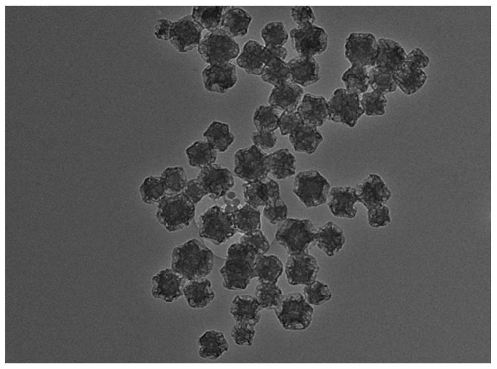 A kind of preparation method of lysosomal membrane coating nanoparticle