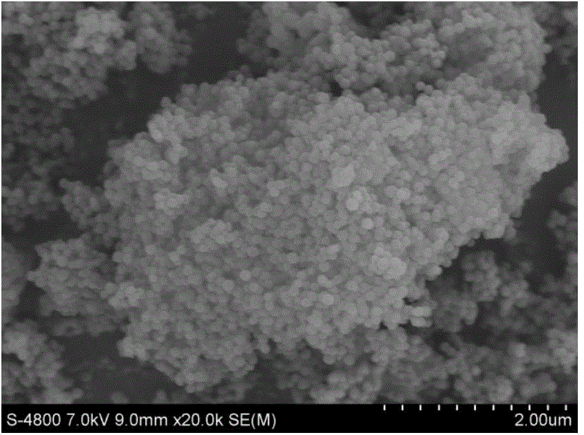 Method for observing morphology of ultrafine powder sample by using scanning electron microscope
