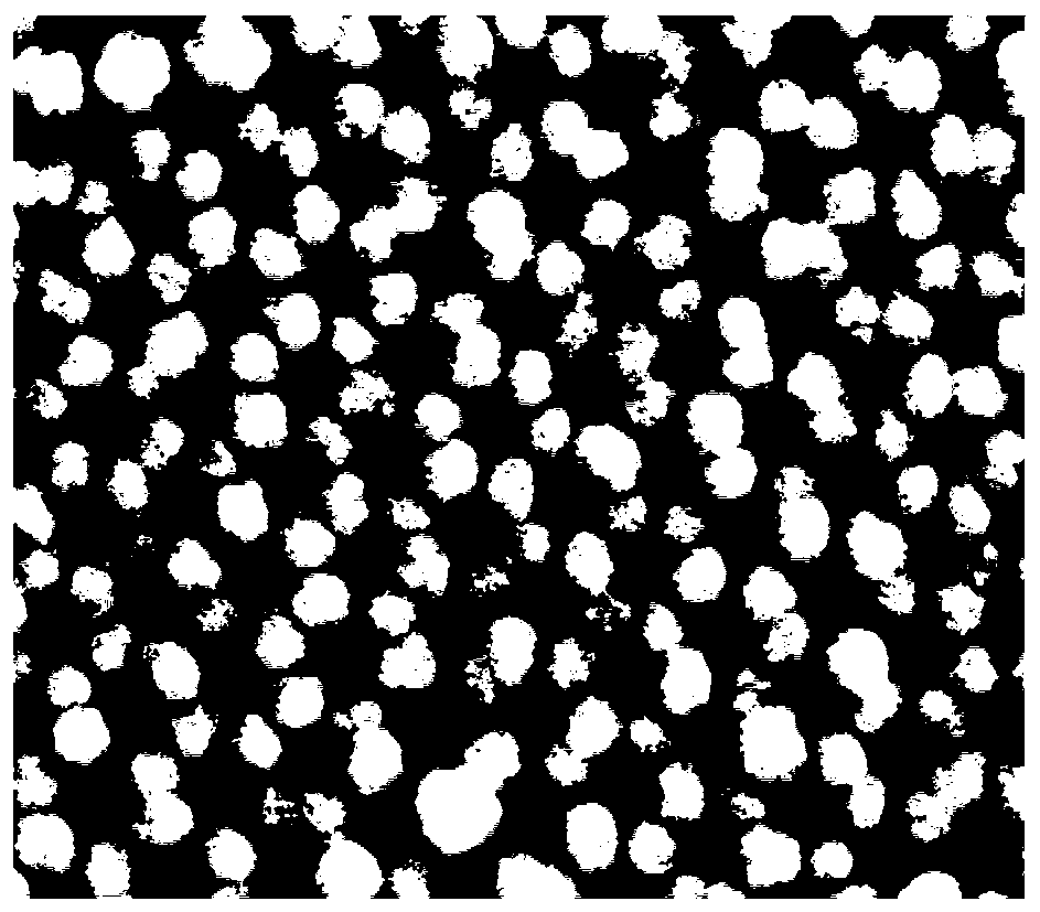 Method for detecting biological radiation damage by using SERS substrate