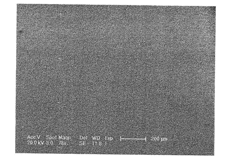Preparation device for preparing functional micro-nano materials on silicon surfaces based on femtosecond laser and method