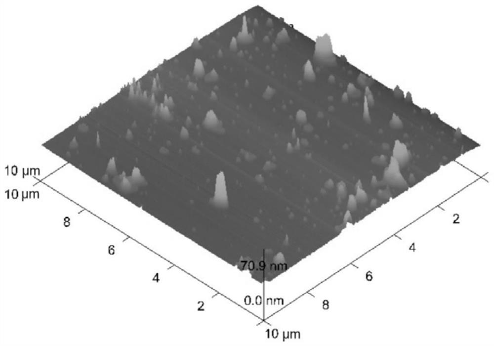 Chitosan-coated solid lipid nanoparticles for promoting absorption of pentacyclic triterpenoids and preparation method thereof