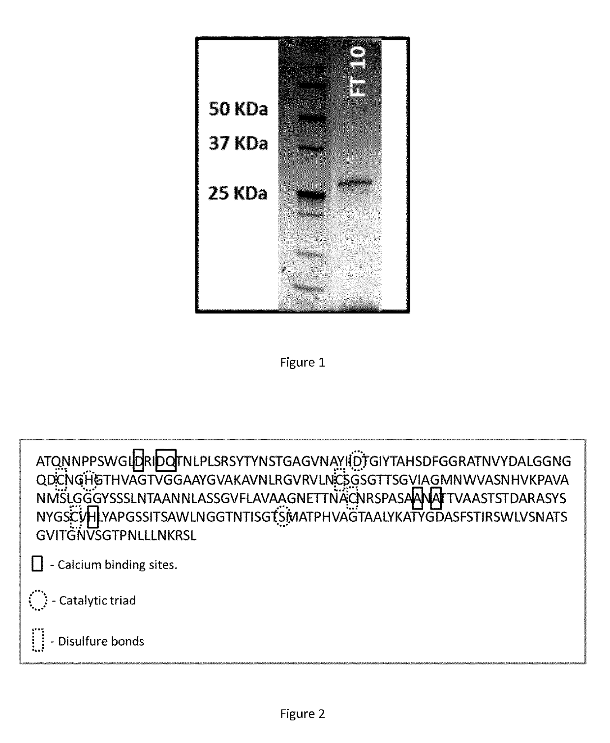 Polypeptide having a polyester degrading activity and uses thereof