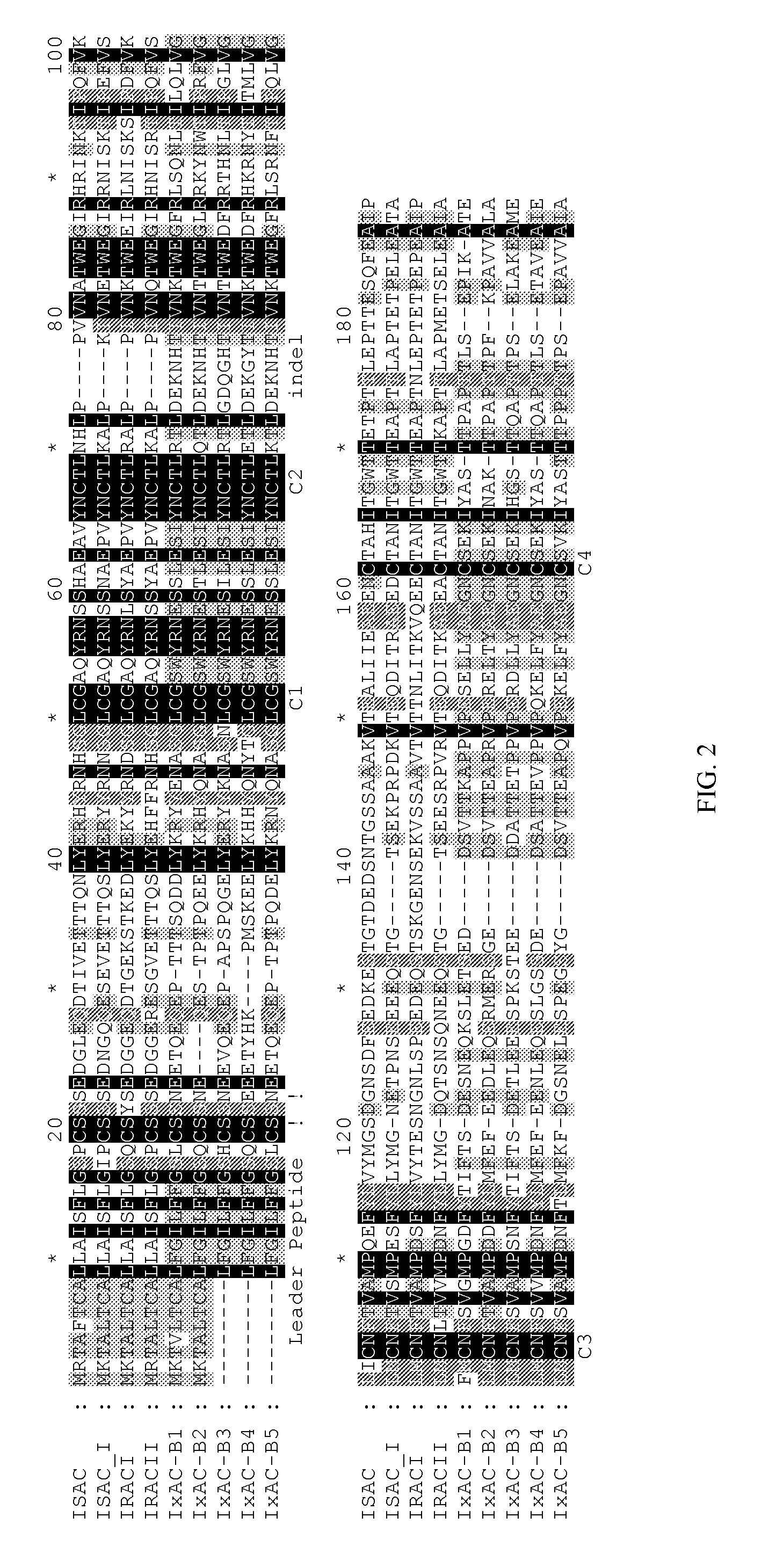 Anticomplement polypeptides of ixodes ricinus